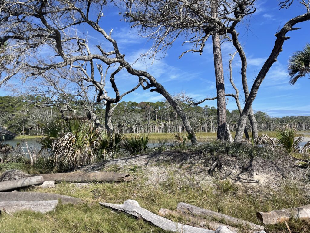 Fripp Island