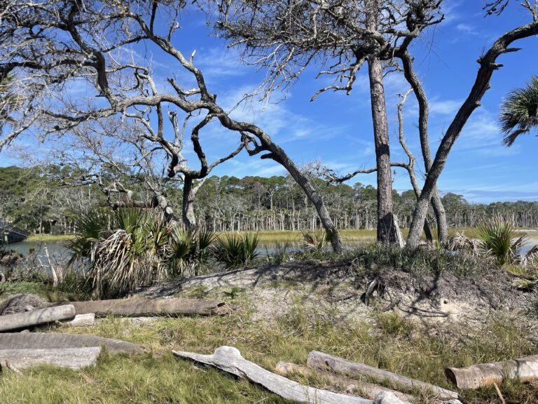 Fripp Island